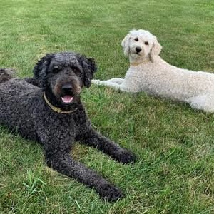 Meet your Posher, Sue